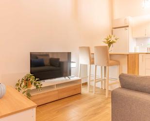 Sala d'estar de Apartament per a compartir en  Madrid Capital amb Aire condicionat i Terrassa