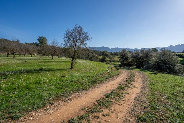 Terreno en Venta en N/A, -1 en Horta de Sant Joan