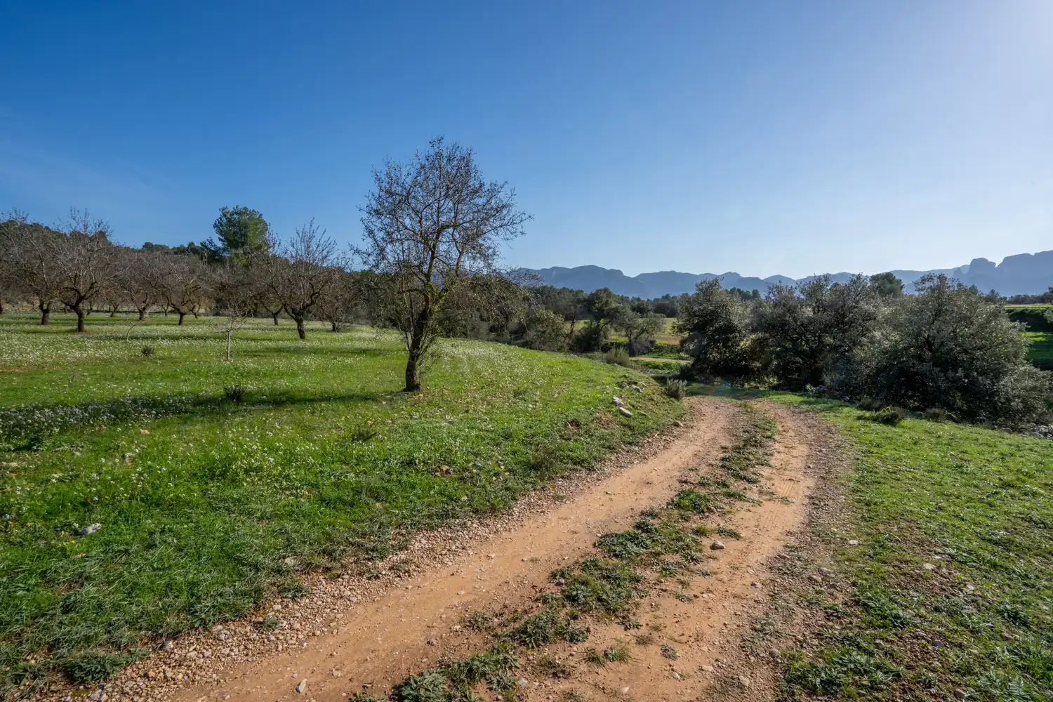 Rural land for sale in Horta de Sant Joan