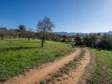 Terreny rústic en venda a Horta de Sant Joan
