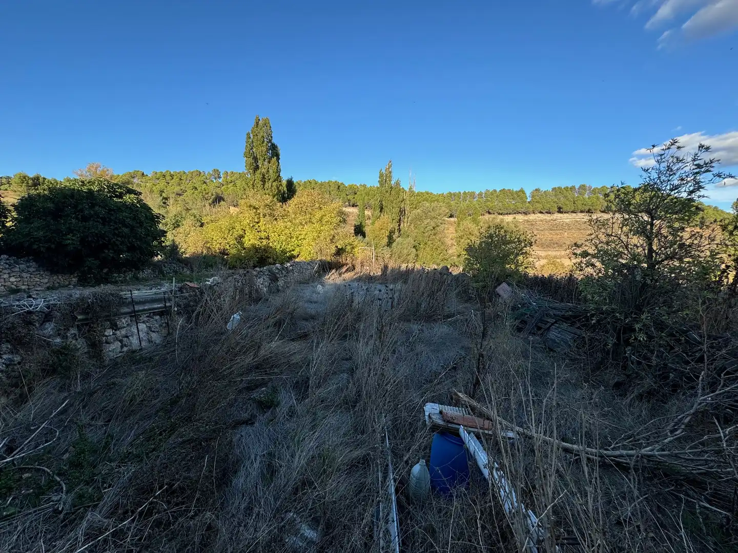 Casa o xalet en venda en Torre de Esgueva amb Jardí privat i Traster