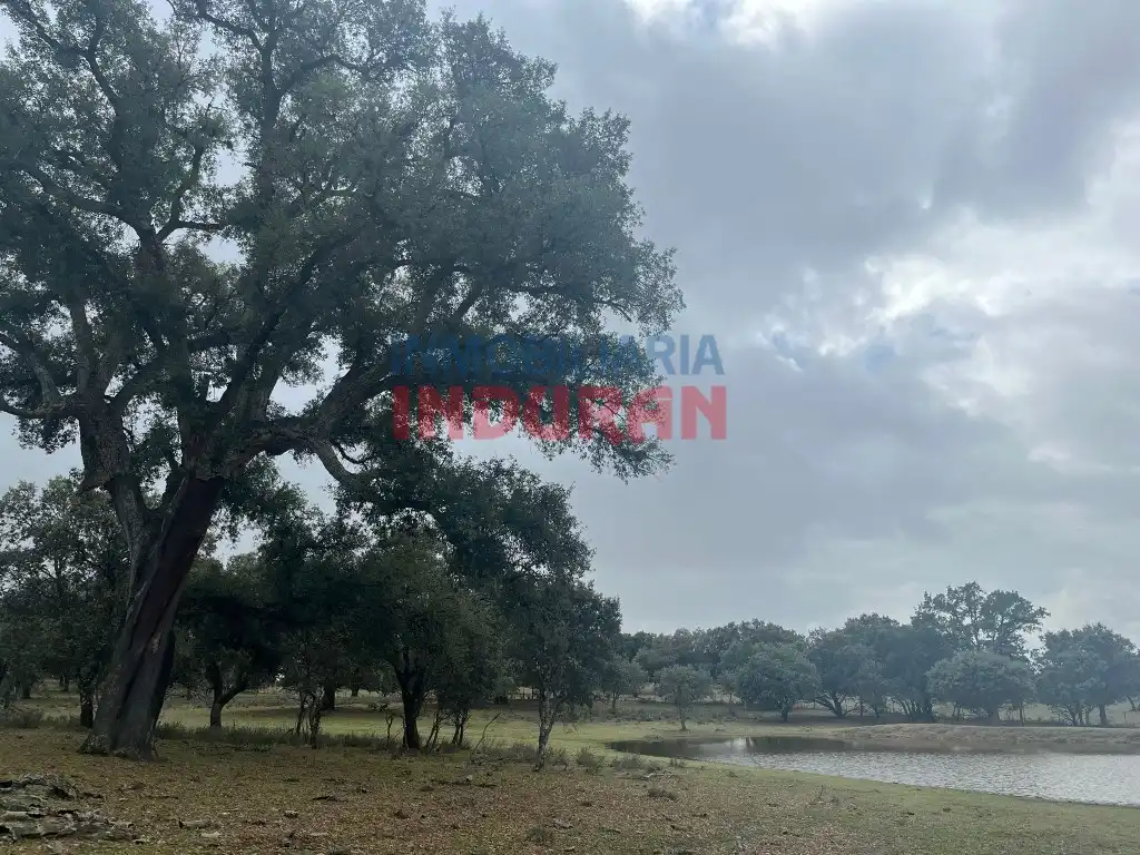 Finca rústica en venta en Calle Corchito, Majadas
