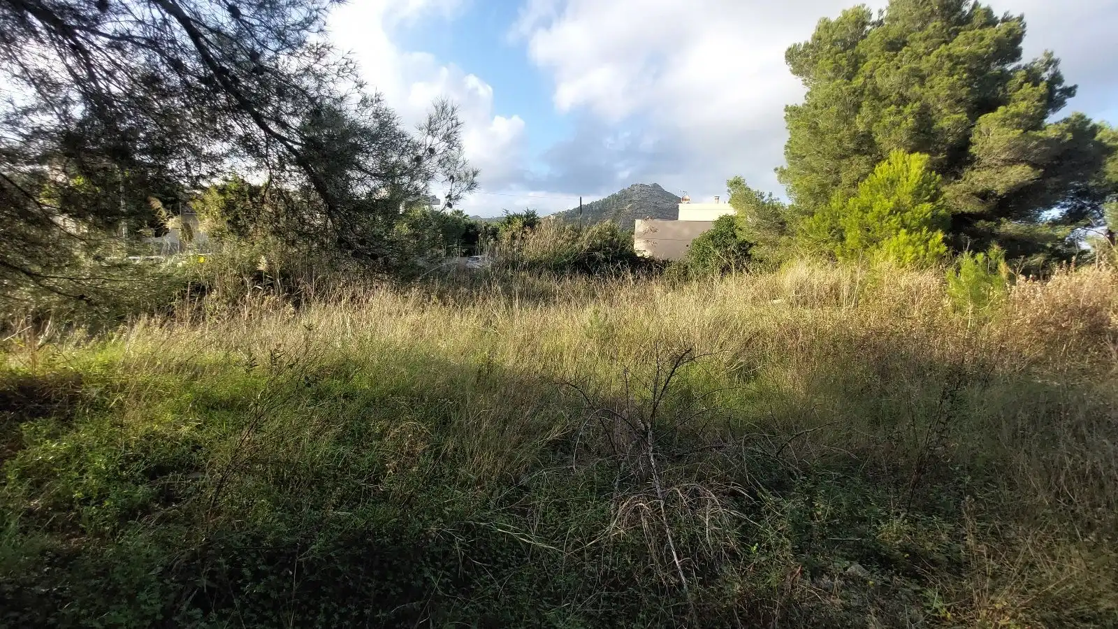 Terreny residencial en venda a Port d'Alcúdia - Platja d'Alcúdia, imagen 3
