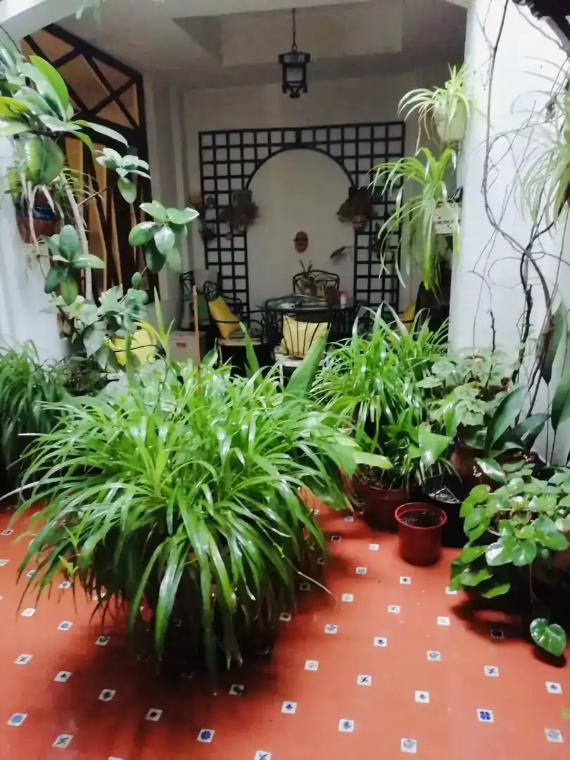 Garden of Ground floor for sale in Enguera  with Balcony