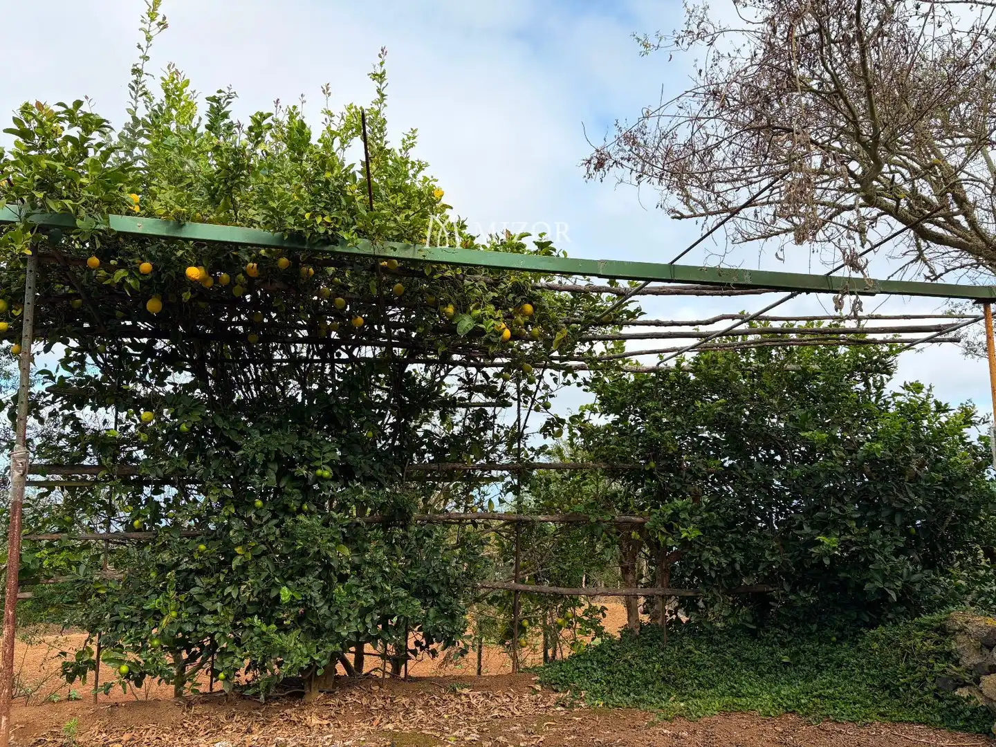 Rural land for sale in el rodeo, imagen 21