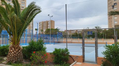 Foto 3 von Wohnung zur Miete in Playa Muchavista, El Campello