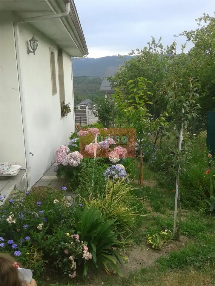 Xalet amb terrassa en venda a O Pereiro de Aguiar, imagen 39