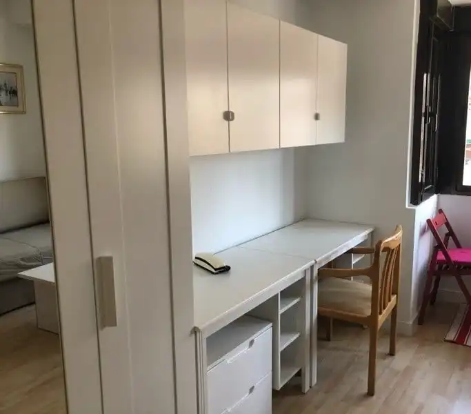 Estudi de lloguer en Madrid amb Aire condicionat, Moblat i Es permeten mascotes