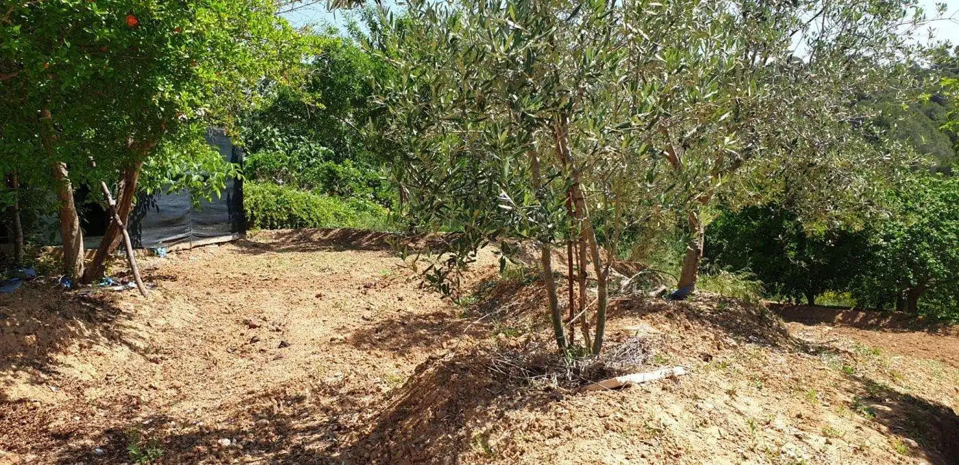 Terreny residencial en venda a Castellnou - Can Mir - Can Solà, imagen 13