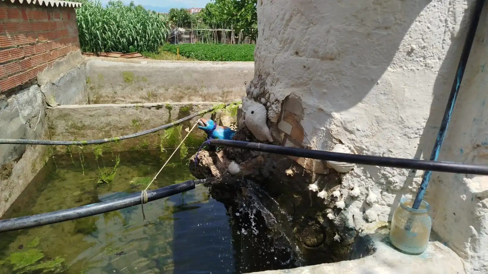 Jardí de Finca rústica en venda en Sabadell
