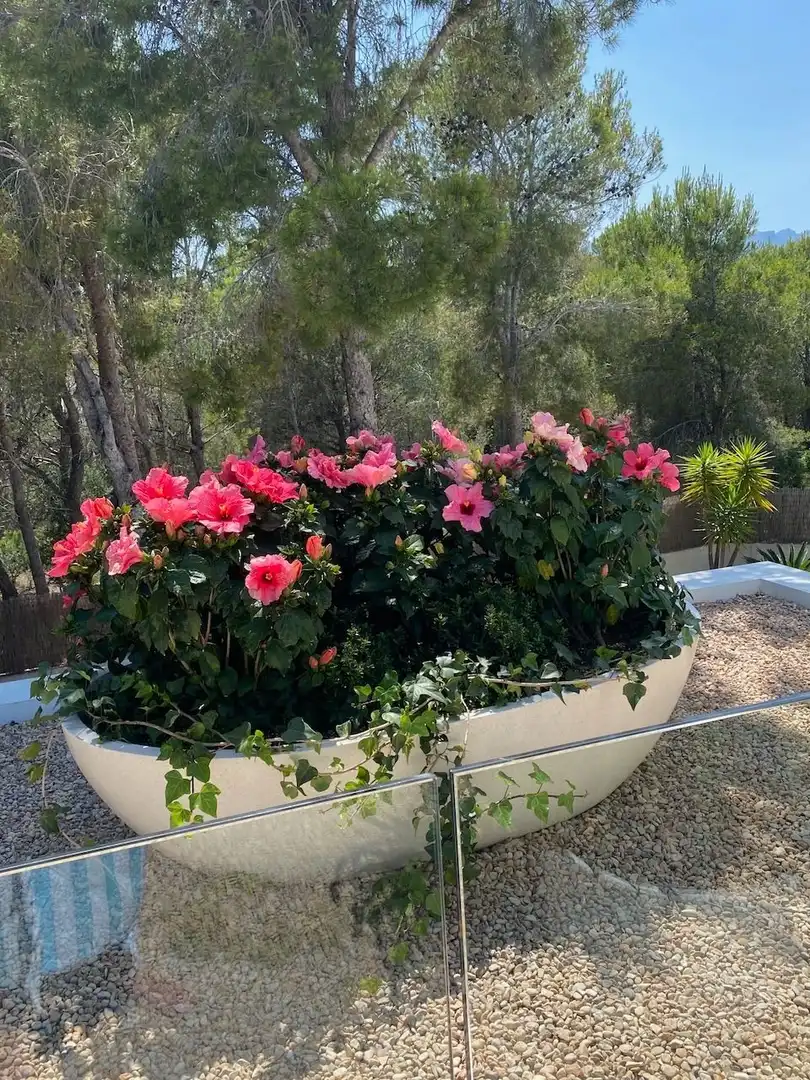 Casa amb piscina en venda a L'Olla, imagen 61