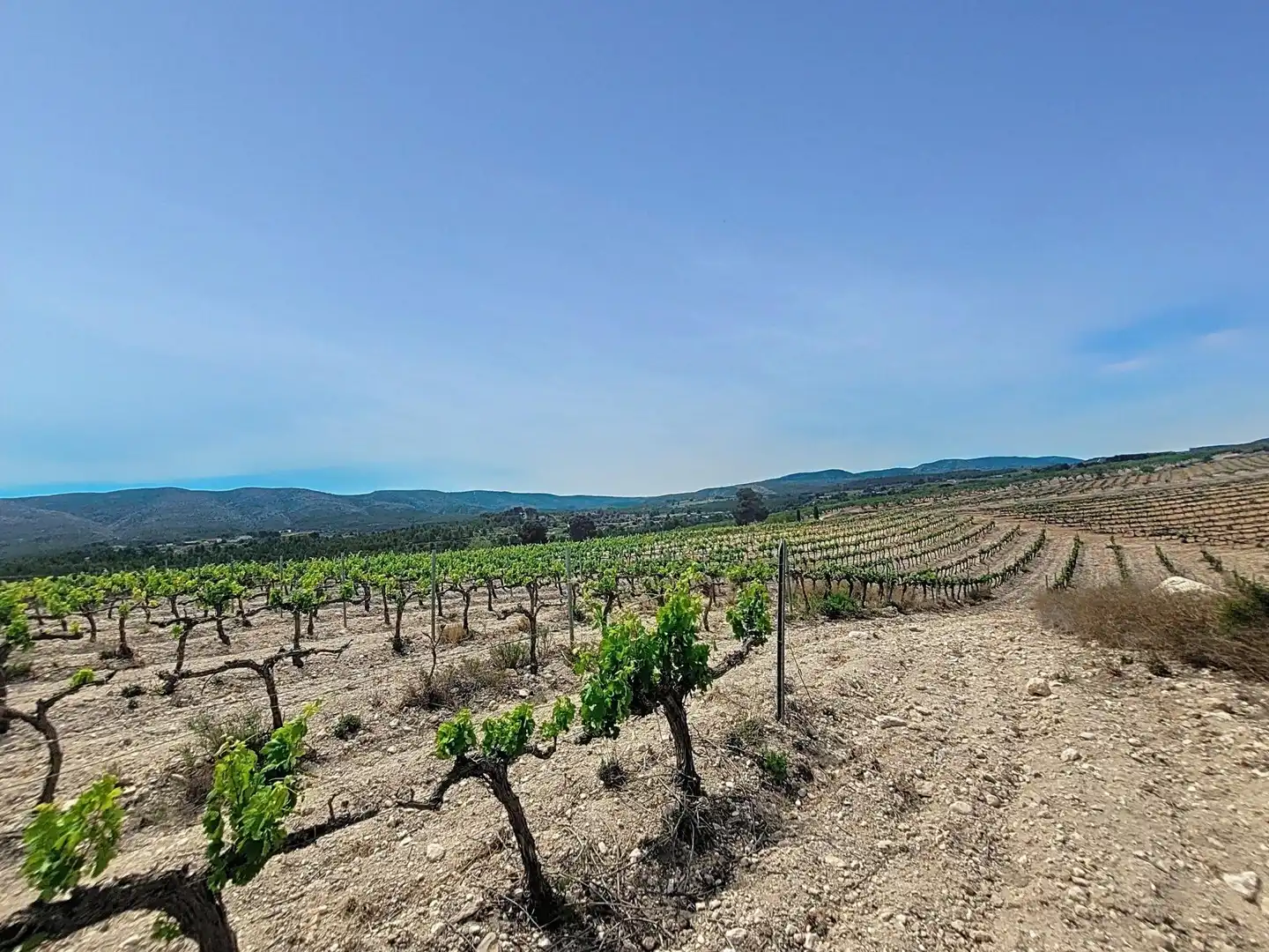 Land for sale in Ontinyent