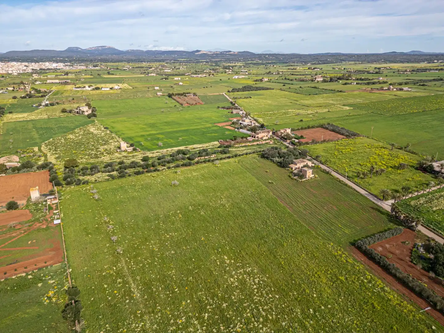 Rustikales Grundstück zum Verkauf in Campos poble, imagen 27