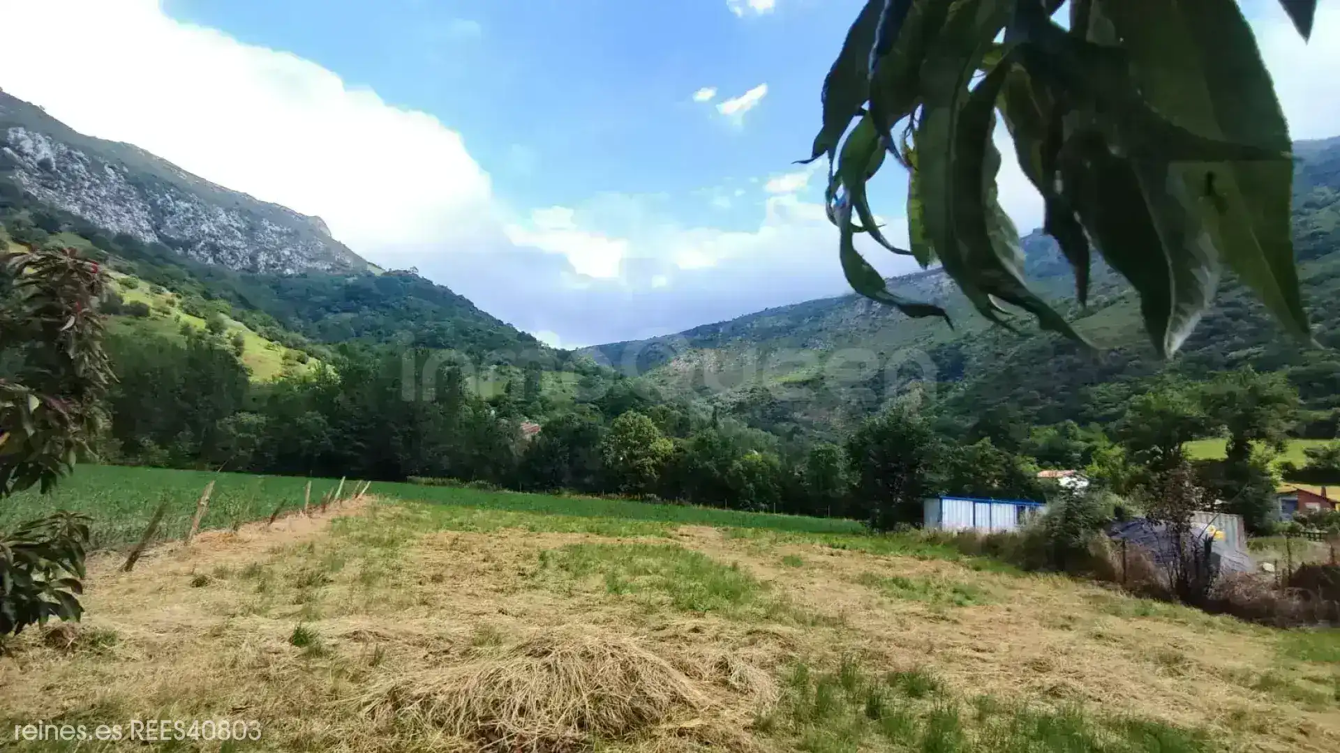 Finca rústica en venda en Peñamellera Alta amb Jardí privat