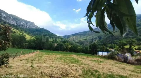 Foto 3 de Finca rústica en venda a N/a, Peñamellera Alta, Asturias