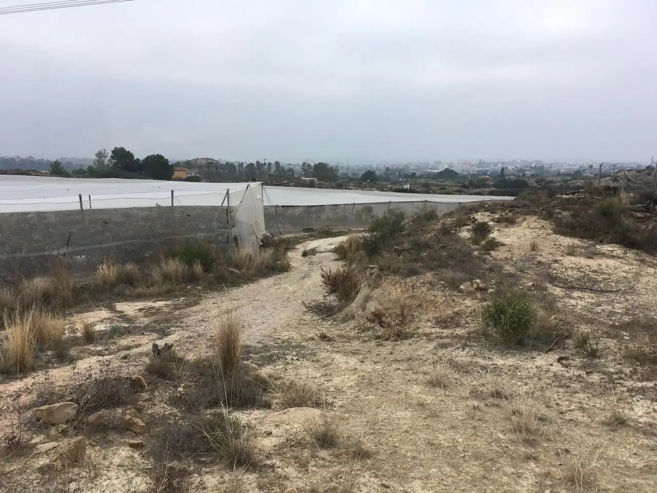 Terreny residencial en venda a El Secanet - Hacienda del Sol