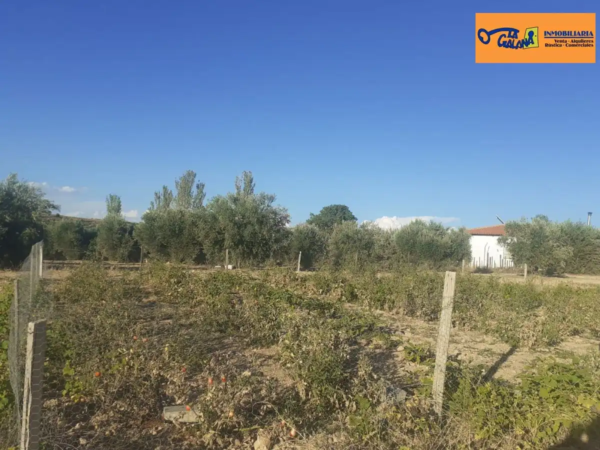 Casa rústica en venda a Valdepeñas, imagen 43