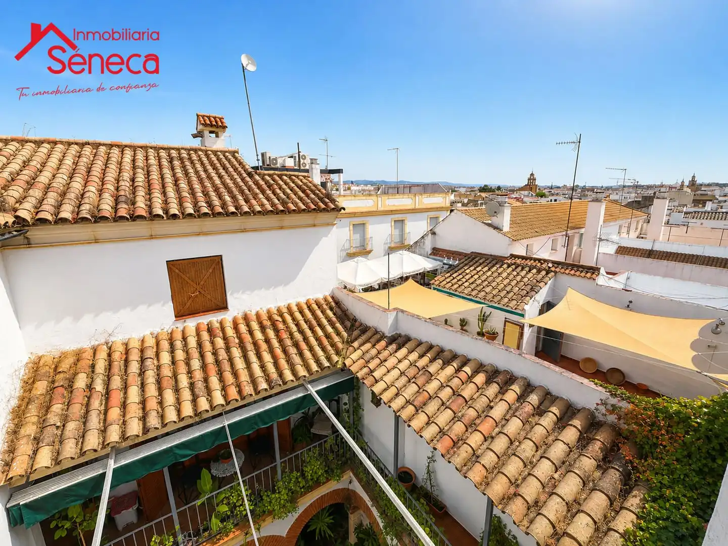 Vista exterior de Casa o xalet en venda en Córdoba amb Traster i Piscina