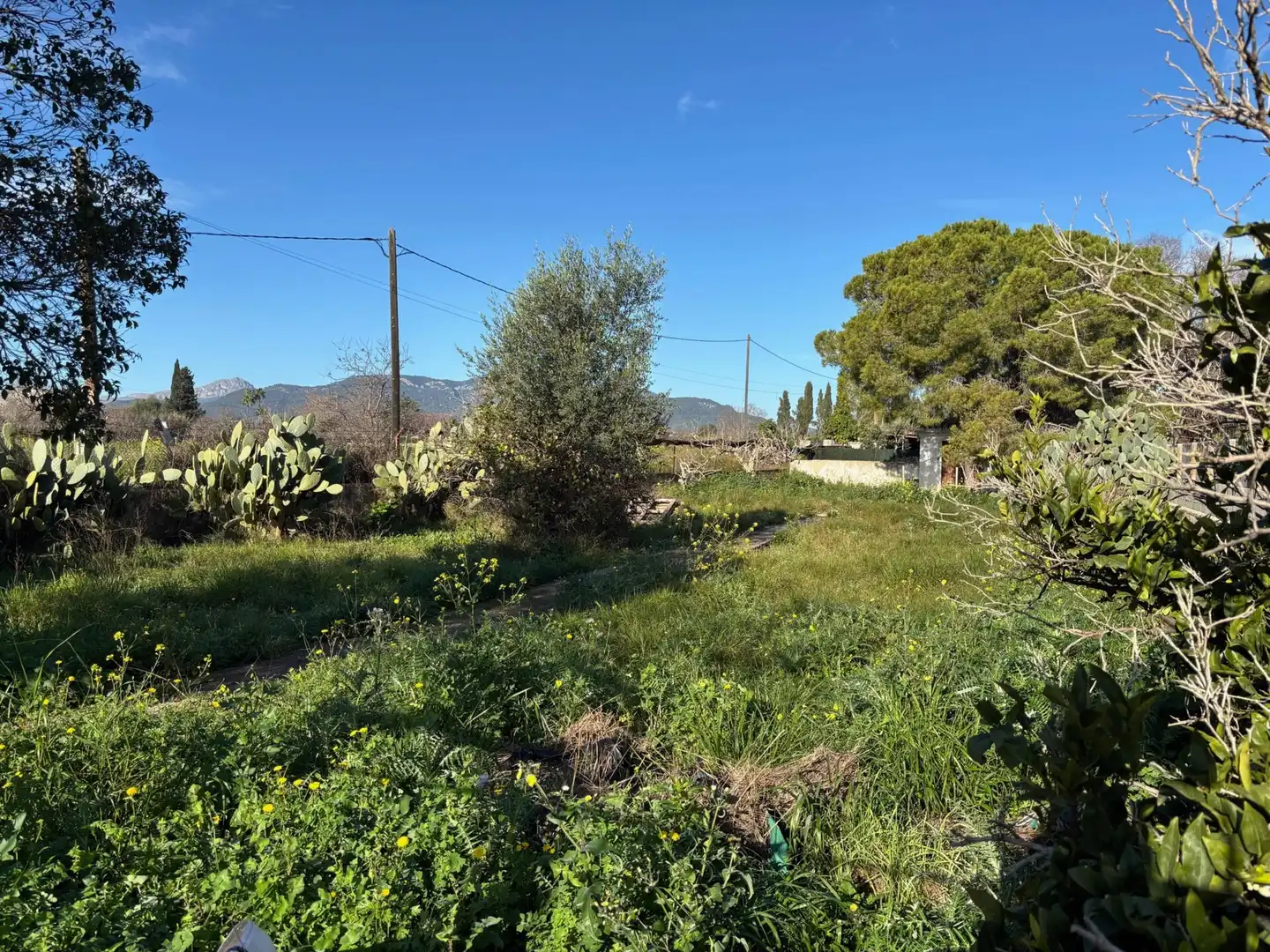 Residential zum Verkauf in  Palma de Mallorca