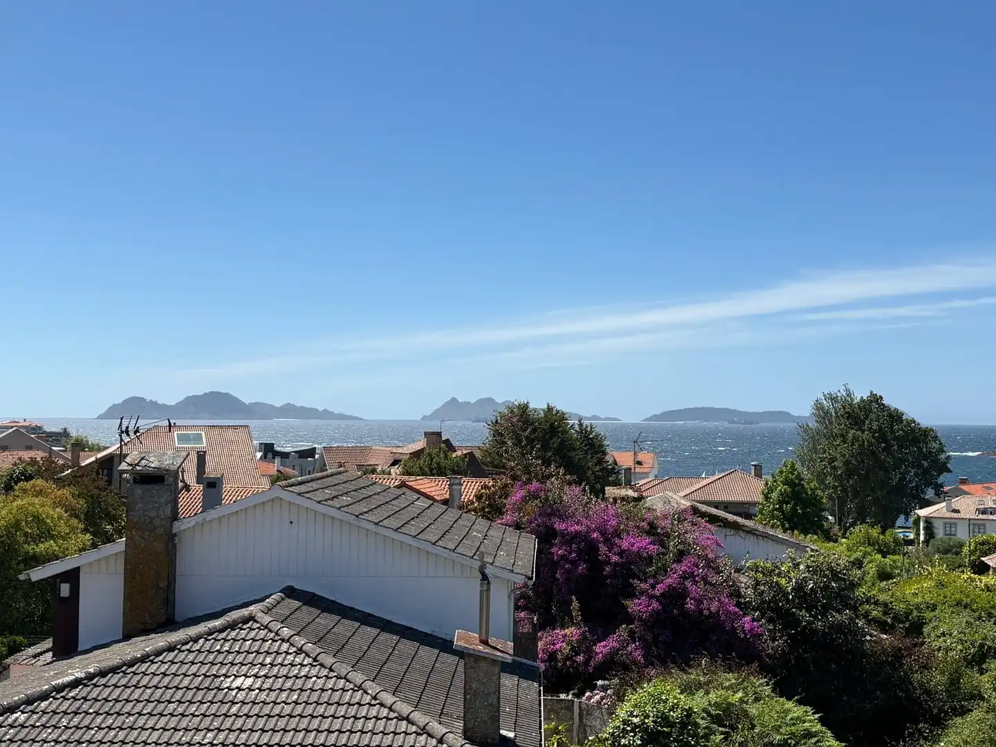 Exterior view of Attic for sale in Vigo   with Terrace