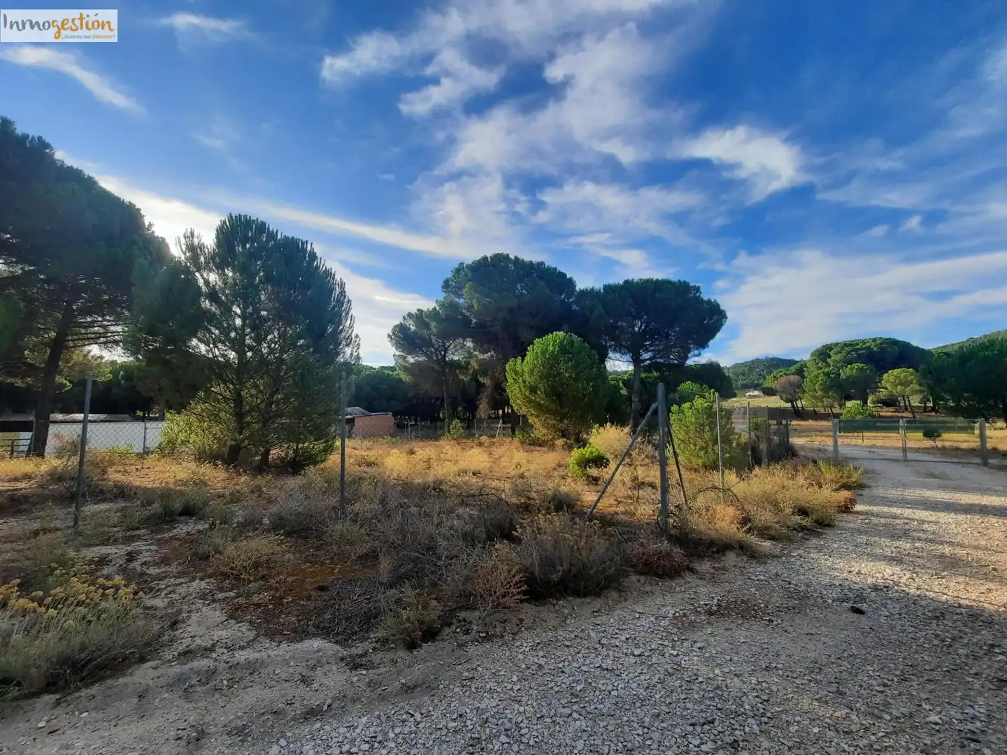 Terreno rustico in vendita a Carretera Tudela de Duero, imagen 5