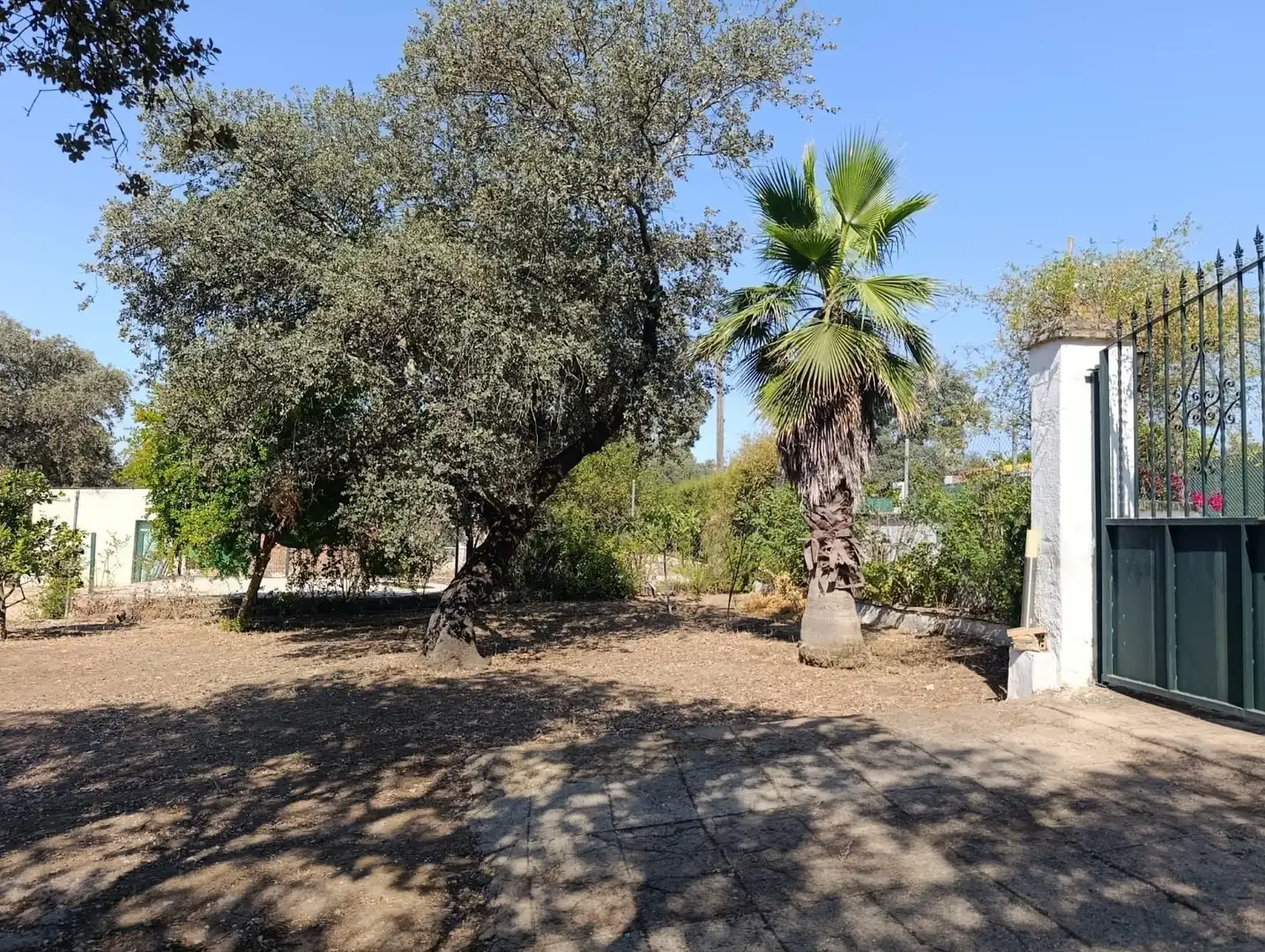 Casa o chalet en venta en Castilblanco de los Arroyos