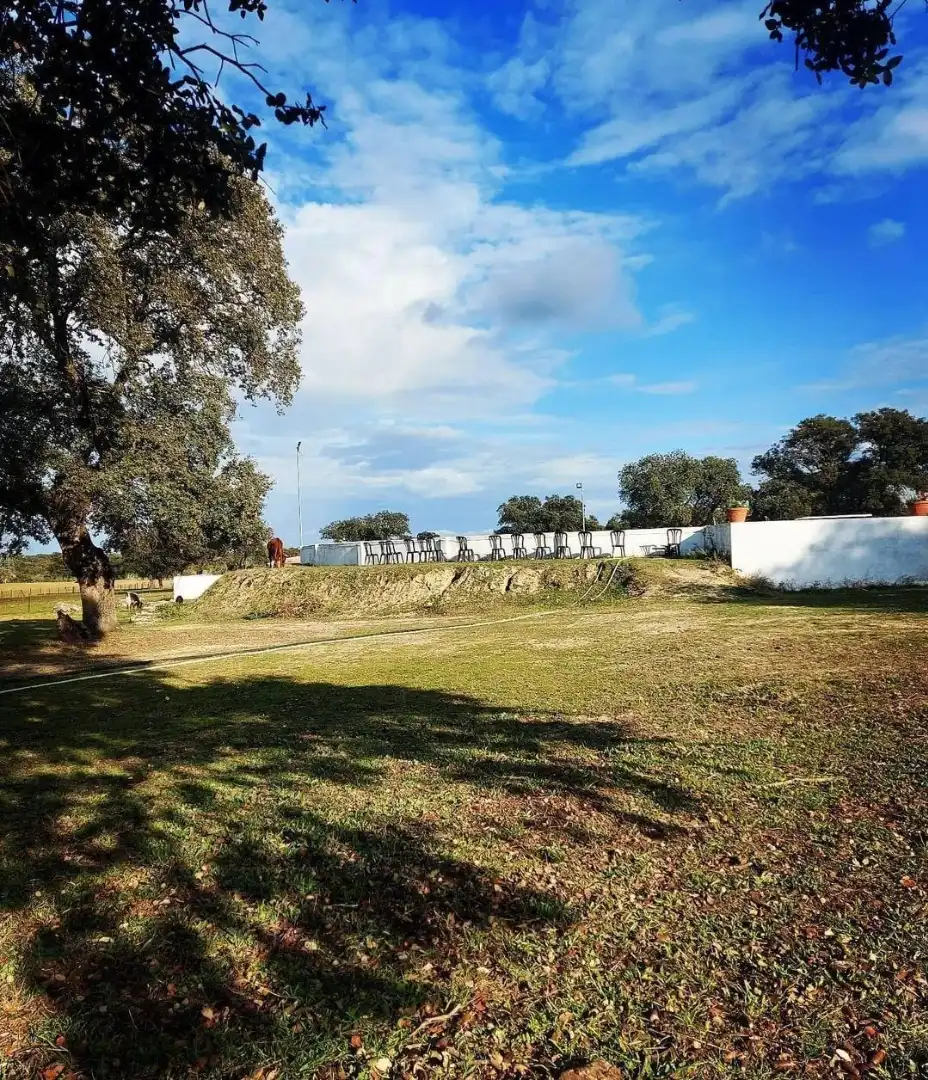 Vista exterior de Terreno en venta en Casatejada