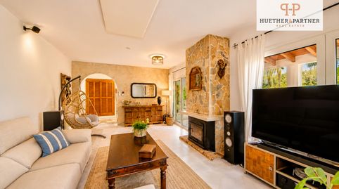 Casa independiente con casa de invitados y piscina, imagen 3