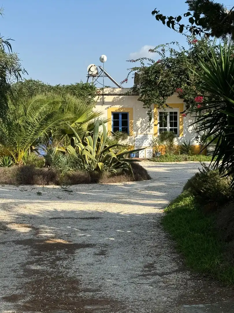 Jardí de Finca rústica en venda en Elche / Elx amb Aire condicionat, Calefacció i Jardí privat