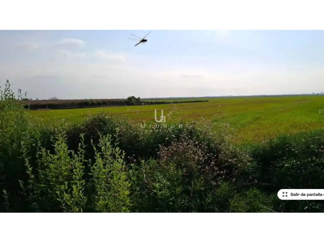 Rural land for sale in Camino Alter, imagen 3