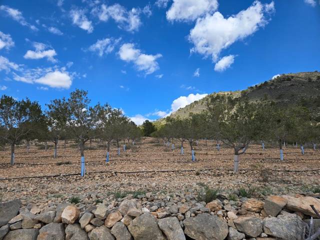 Terreno en Venta en Plaza de Novelda, 3 en La Romana