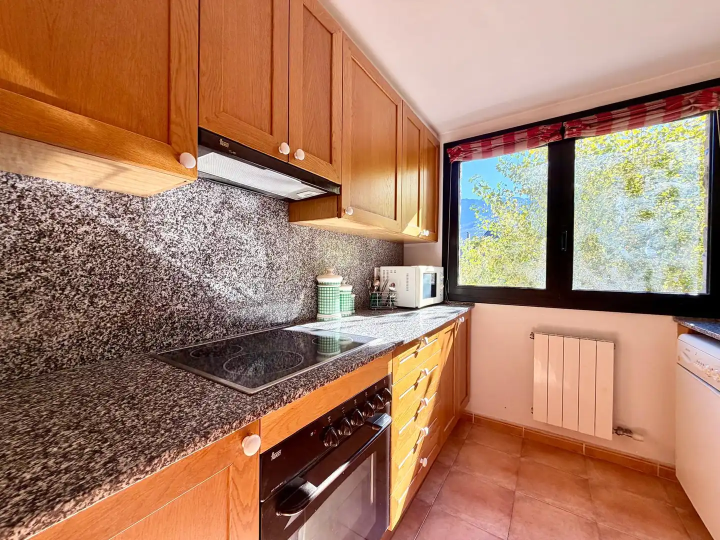 Kitchen of Flat for sale in Vielha