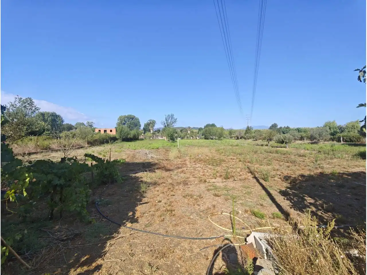 Grundstücke zum Verkauf in Blanes