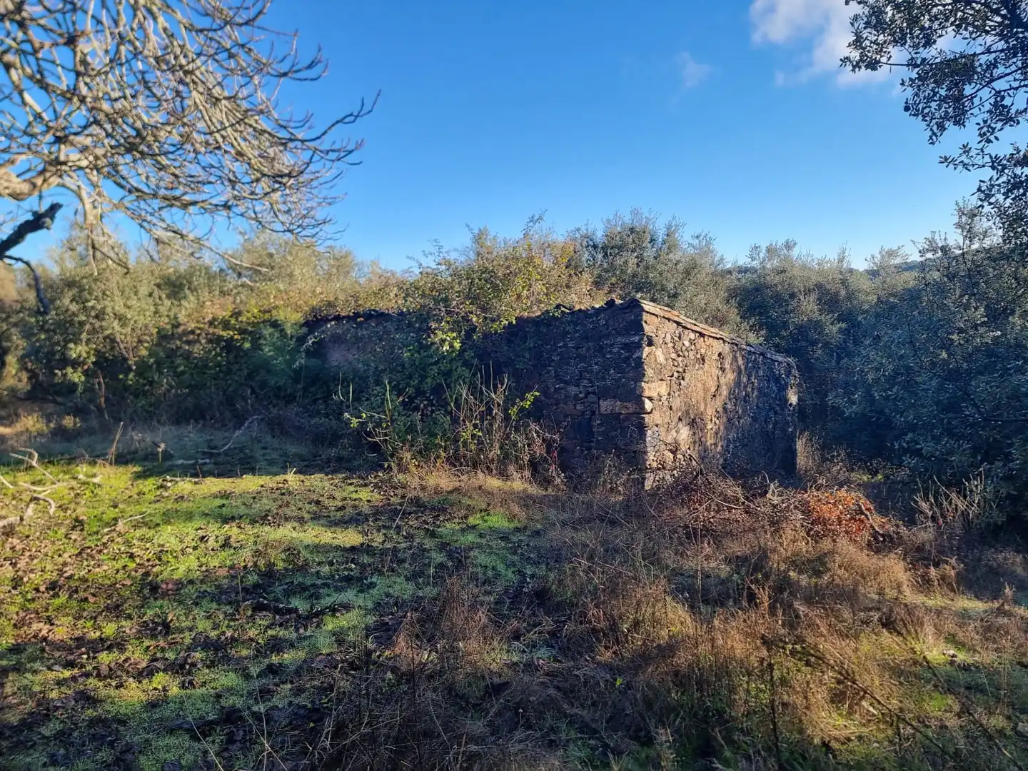 Grundstücke zum Verkauf in Aracena