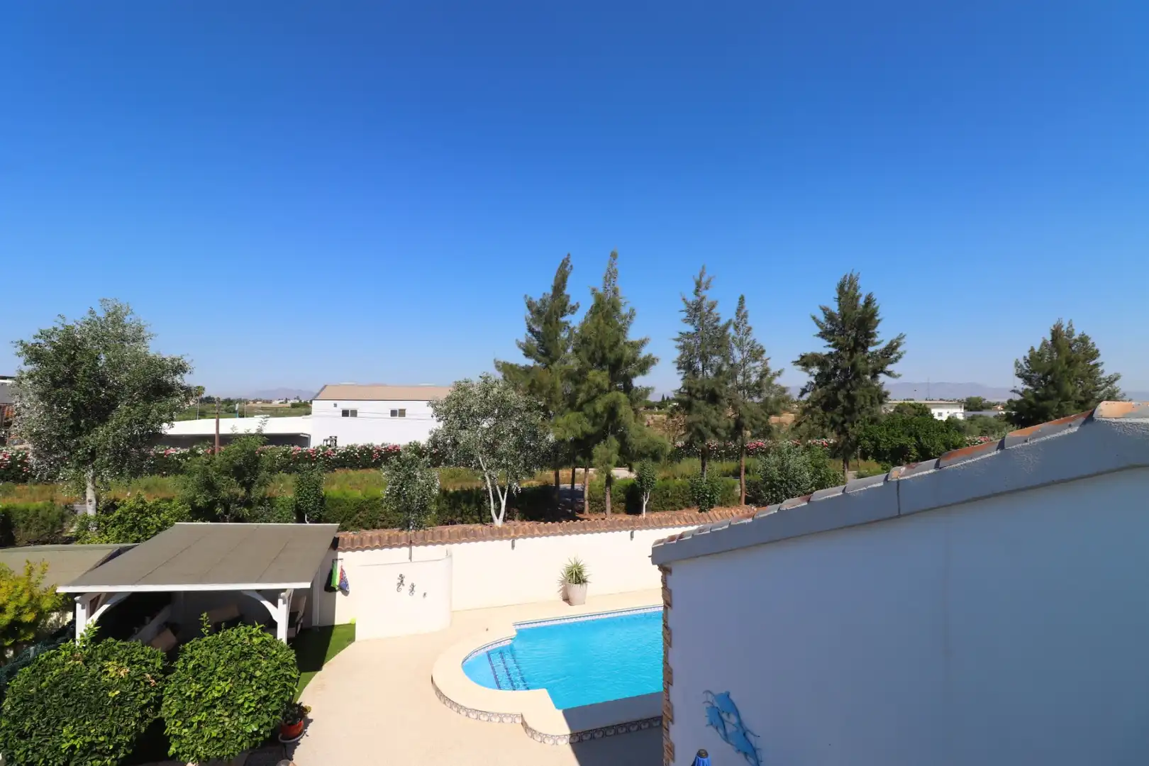 Piscina de Casa o chalet en venta en Formentera del Segura con Terraza y Piscina