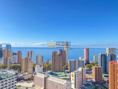 Vista exterior de Apartament en venda en Benidorm amb Aire condicionat, Calefacció i Jardí privat