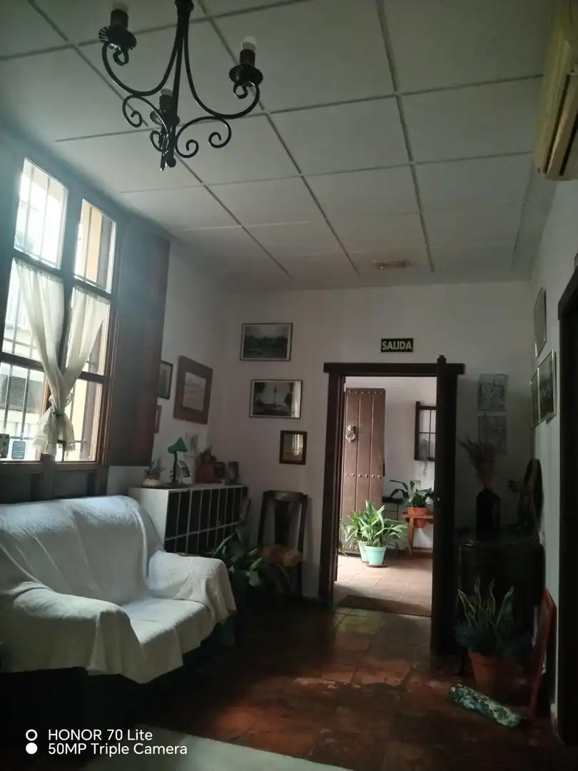 Inmuebles singulares en venta en Centro, imagen 14