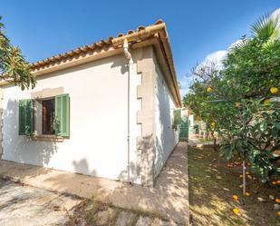 Jardí de Casa o xalet en venda en Alcúdia amb Aire condicionat, Calefacció i Jardí privat