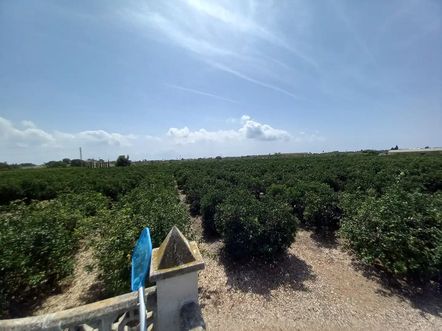 Terreno rustico in vendita a Costa Norte, imagen 26