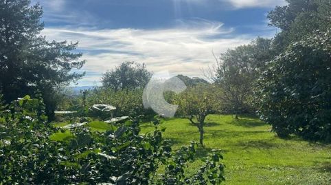 Photo 3 of Houses for sale in Lalín, Pontevedra