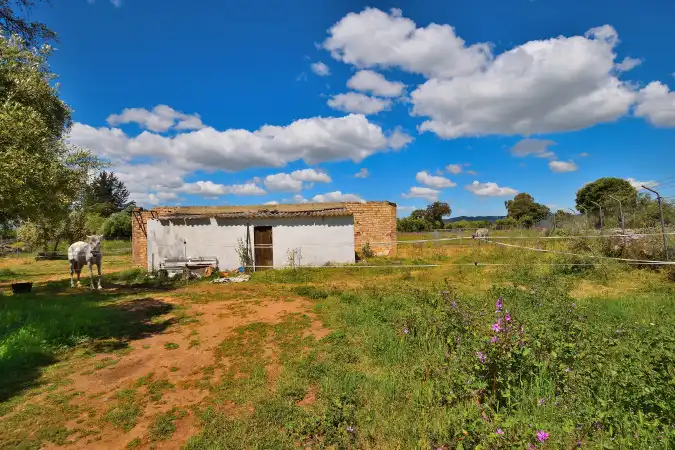 Casa rústica amb jardí en venda a Cuevas del Becerro, imagen 10