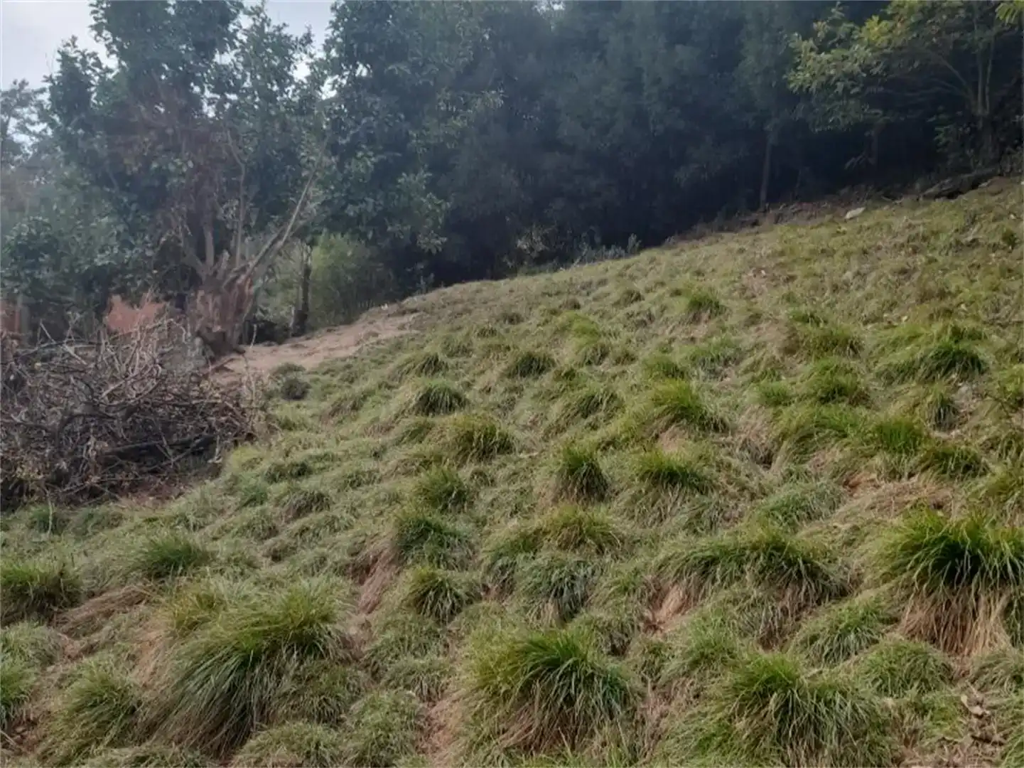 Finca rústica en venda en Valdés - Luarca