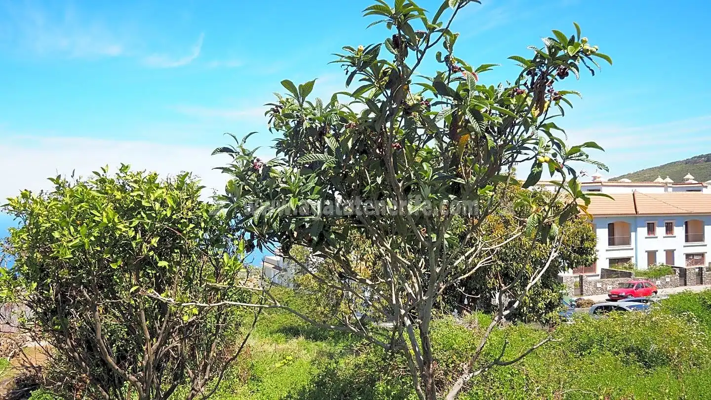 Terrenos y solares en venta en Centro, imagen 7