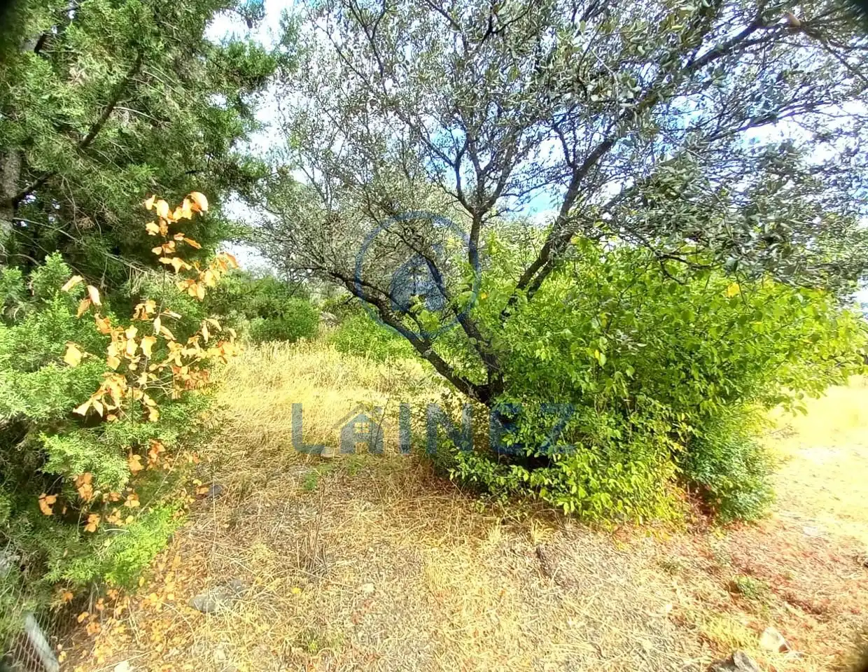 Terreni e lotti in vendita a Villaharta, imagen 3