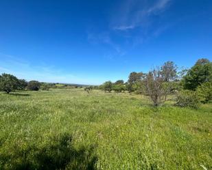 Land for sale in El Gordo 