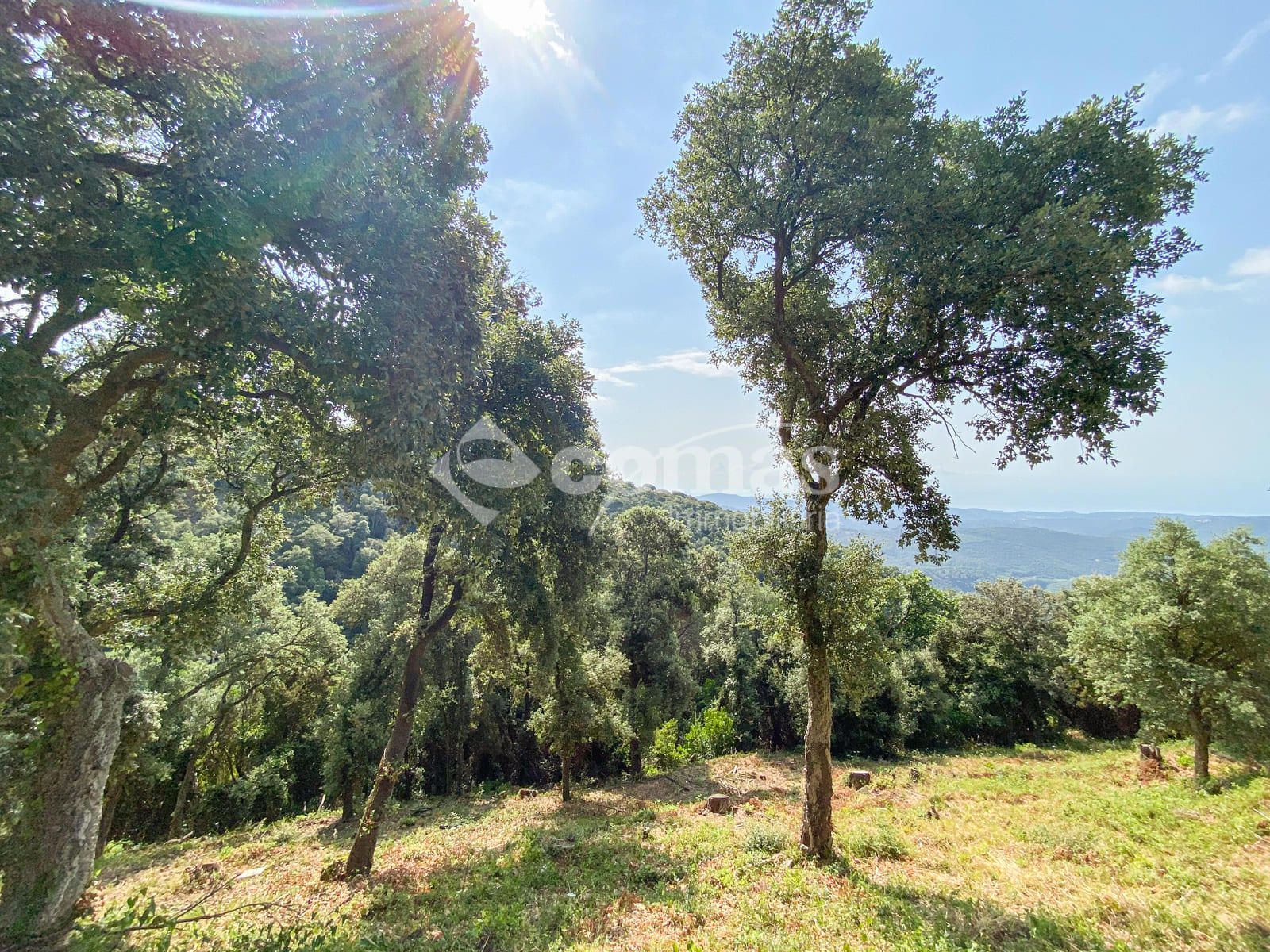 Casa o xalet en venda en Sant Iscle de Vallalta