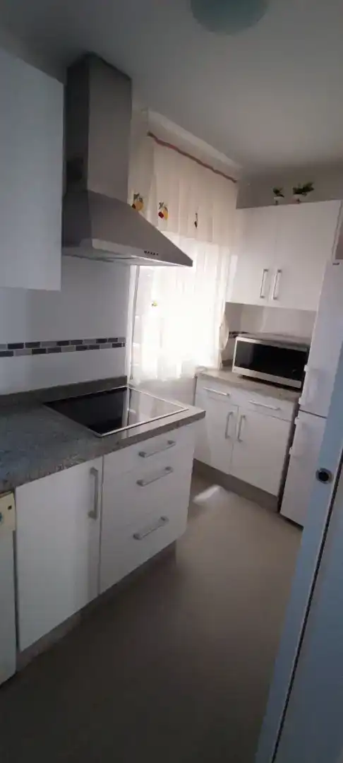 Kitchen of Flat for rent in Matalascañas 