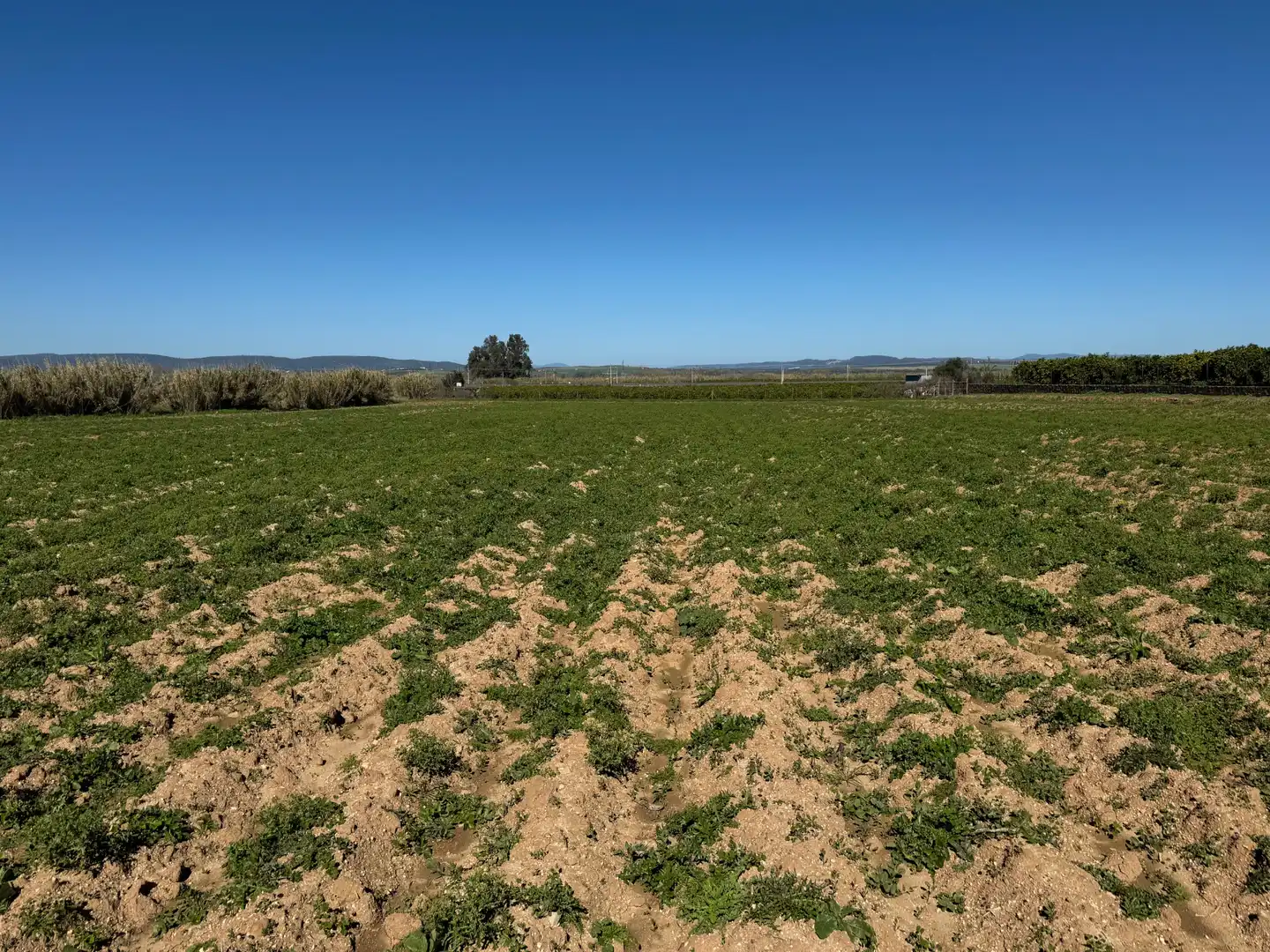 Terrenys i solars en venda a Cantillana, imagen 12