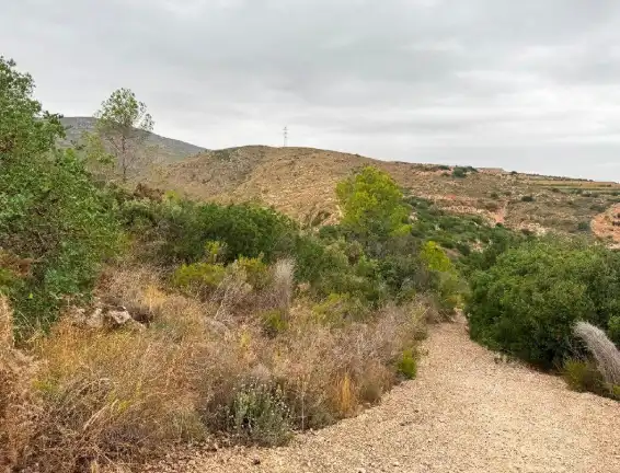 Terreny rústic en venda a Carlet, imagen 7