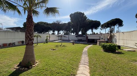 Foto 3 de Casa o chalet en venta en Almensilla, Sevilla